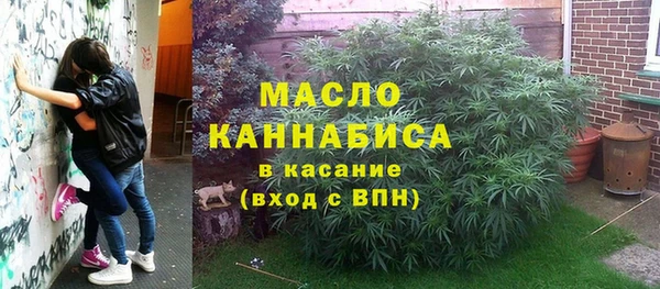 индика Навашино