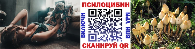 Псилоцибиновые грибы GOLDEN TEACHER  Андреаполь 